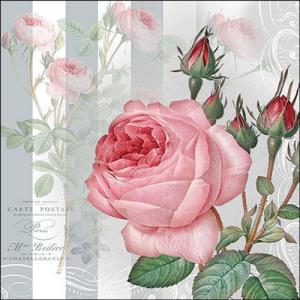 AMB.13319565 Yara papírszalvéta 33x33cm, 20db-os