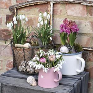 AMB.13319620 Winter flowers papírszalvéta 33x33cm, 20db-os