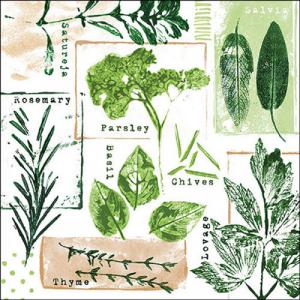 AMB.13319635 Herb prints white papírszalvéta 33x33cm, 20db-os