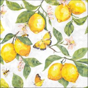AMB.13320365 Fresh lemons white papírszalvéta 33x33cm, 20db-os
