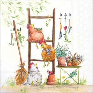 AMB.13320530 Break time papírszalvéta 33x33cm, 20db-os