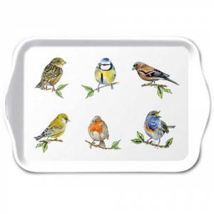AMB.13718135 Bird species white műanyag kistálca 13x21cm