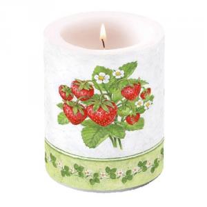 AMB.19110155 Season Fruit átvilágítós gyertya 12x10cm