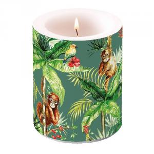 AMB.19114220 Orangutan Green átvilágítós gyertya 12x10cm