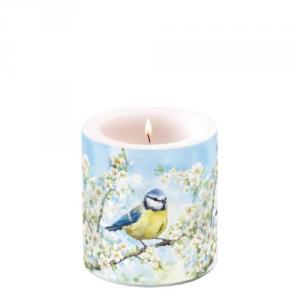 AMB.19220355 Blossom time átvilágítós gyertya 8x7,5cm