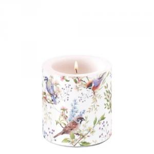AMB.19220390 Busy birds átvilágítós gyertya 8x7,5cm