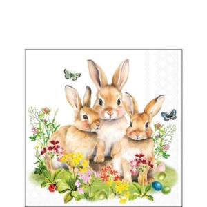 AMB.22520760 Bunny family papírszalvéta 25x25cm,20db-os