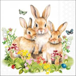 AMB.23320760 Bunny family papírszalvéta 33x33cm,20db-os