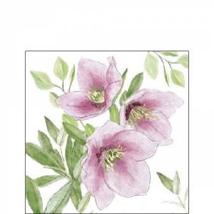 AMB.32518015 Classic helleborus papírszalvéta 25x25cm, 20db-os