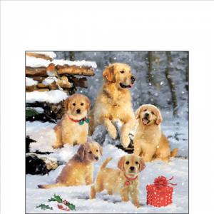 AMB.32518885 Golden retriever puppiees papírszalvéta 25x25cm, 20db-os