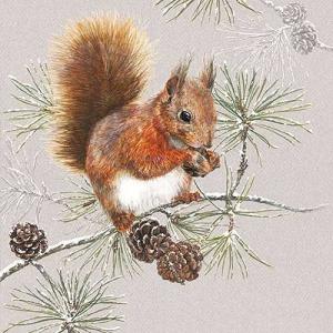 AMB.33313445 Squirrel In Winter papírszalvéta 33x33cm,20db-os