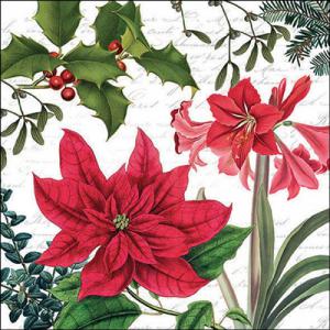 AMB.33316555 Christmas plants white papírszalvéta 33x33cm, 20db-os