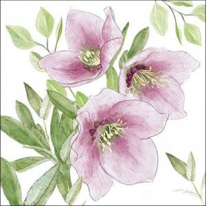 AMB.33318015 Classic helleborus papírszalvéta 33x33cm, 20db-os