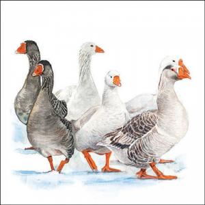 AMB.33319290 Winter geese papírszalvéta 33x33cm, 20db-os