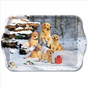 AMB.33718885 Golden retriever puppies műanyag kistálca 13x21cm