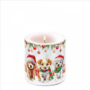 AMB.39220090 Funny cute puppies átvilágítós gyertya 8x7,5cm