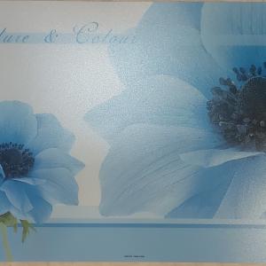 Delta műanyag reggeliző alátét, 45X30 cm, Nature blue, ART T2230D534
