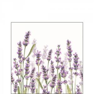 Levendulás szalvéta, AMB.12515985 Lavender Shades white papírszalvéta 25x25cm,20db-os, levendula mintás