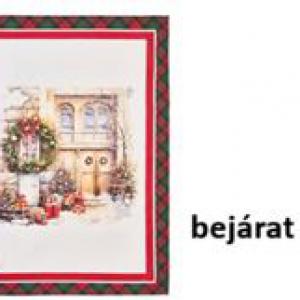 N.S.HTH251901D Konyharuha 50x70cm, pamut, Christmas is coming, bejárat