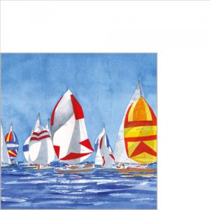 PPD.B125002625 Regatta papírszalvéta 25x25cm, 20db-os