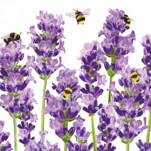 PPD.C1333956 Bees & Lavender papírszalvéta 33x33cm,20db-os, levendula mintás