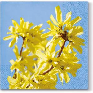 P.W.SDL061600 Forsythia papírszalvéta 33x33cm,20db-os