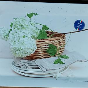 R2S Easy Life műa.tálca, Hydrangea, 31X23 cm, 153109WIT