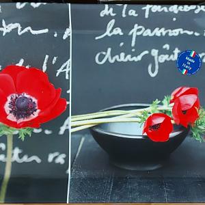 R2S Easy Life műa.tálca, Poppies 2014, 31X23 cm, 153109POP