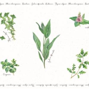 R2S.550HERU Műanyag tányéralátét 45x30cm,Herbarium