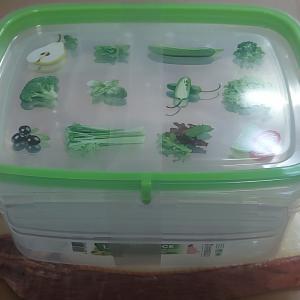 Snip műanyag tároló doboz, zöldségmintás tetővel, zöld, 1,8l, 2 szett