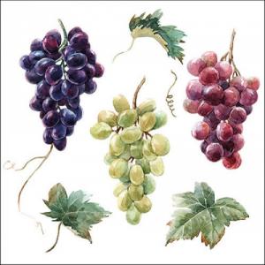 Szőlő mintás szalvéta, AMB.13317240 Wine grapes papírszalvéta 33x33cm, 20db-os