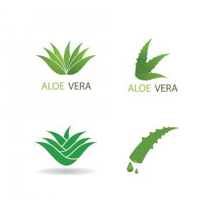 Aloe Vera termékek