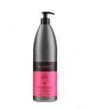 Allwaves Color Defense Sampon Festett Hajra – 1000ml
