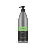Allwaves Regeneráló Sampon Vaníliával és Gyömbérrel – 1000ml
