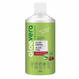 Aloe Vera Organic Ital áfonyával 1000 ml (AVTP0111)