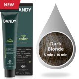 Dandy Hair Color For Men - Ammóniamentes hajfesték - 6 (Sötétszőke)