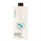 Elgon - Sublimia / Hair DD 10:1 sampon minden hajtípusra 1000ml