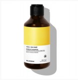 Elgon YES SHINE - SPARKLE Ragyogást fokozó sampon 250ml (0712300250)