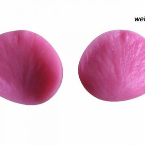 Cukorvirág rózsa szirom erező