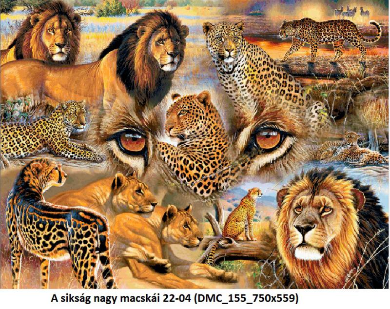 A sikság nagy macskái 22-04 (DMC_155_750x559)    keszámolós minta