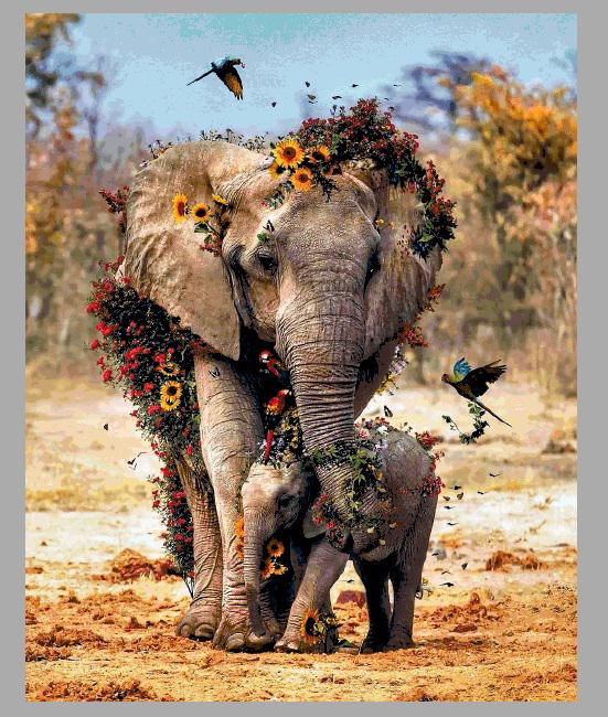 Elefánt szeretet 21.06 (DMC_276_500x624) leszámolós minta