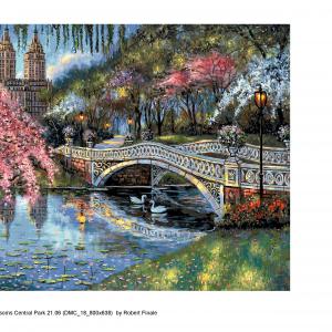 Bow-Bridge-Blossoms-Central Park 21.06 (DMC_180_700x558)