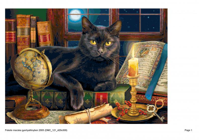Fekete macska gyertyafényben 2005 (DMC_121_420x300)