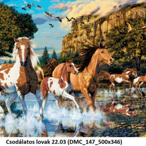 Csodálatos lovak 22.03 (DMC_147_500x346) leszámolós minta