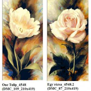 Egy  rózsa és egy tulipán  leszámolós minták