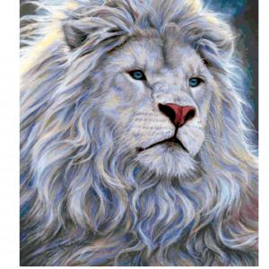 Fehér oroszlán portré 21.03 (DMC_111_316x400) leszámolós minta