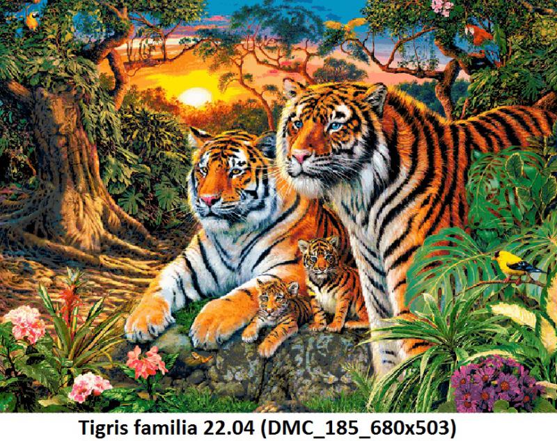 Tigris familia 22.04 (DMC_185_680x503)   leszámolós minta