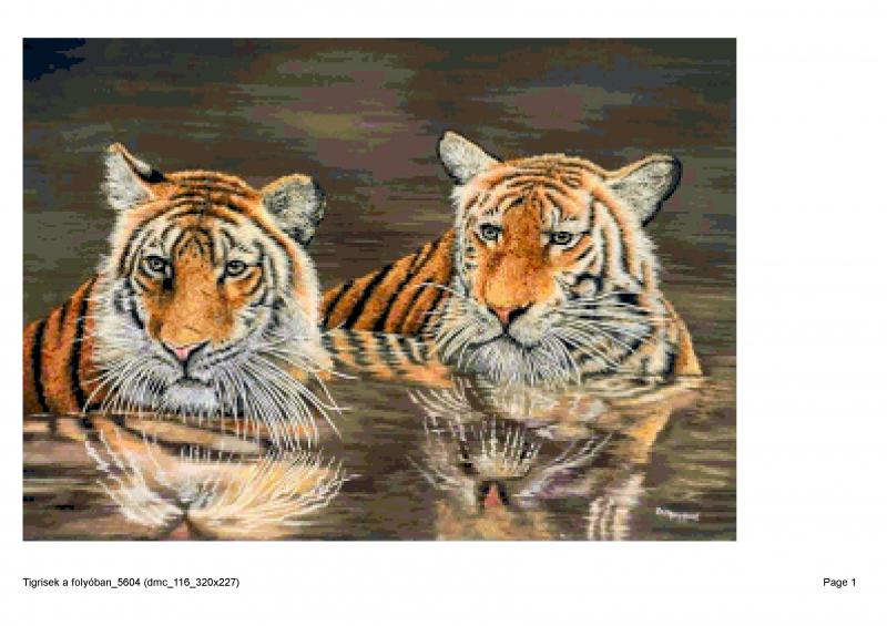 Tigrisek a folyóban_5604 leszámolós minta