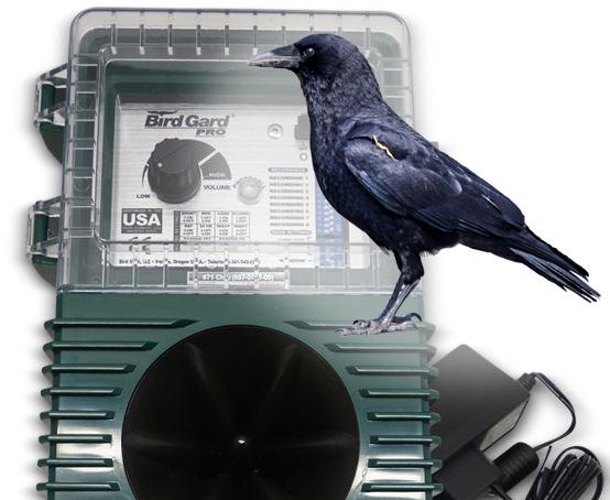 BirdGard Pro - Crows ( varjú ellen)