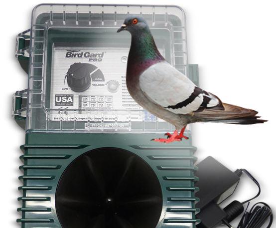 BirdGard Pro - Pigeons (galambok ellen)
